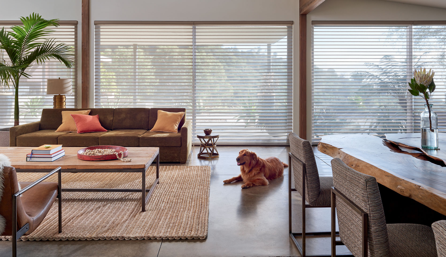 Elite Shutter Fashions Shades and Blinds - Silhouette Shades
