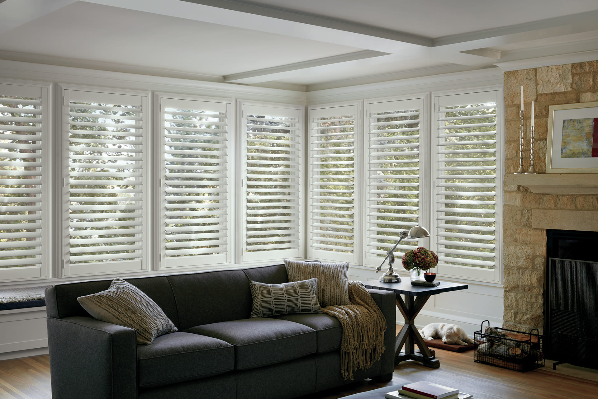 2020_NS_Standard Hinged_HT_Dog_Living