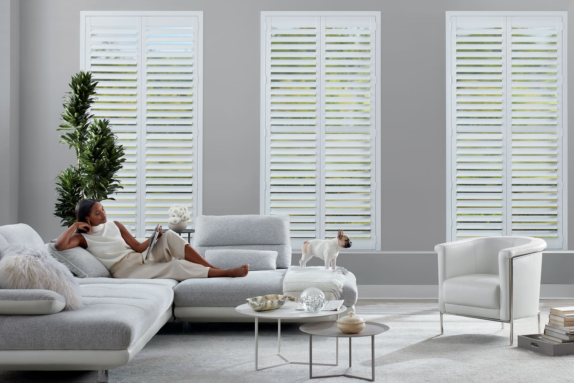 2020_NS_Standard Hinged_HT_Living_Models