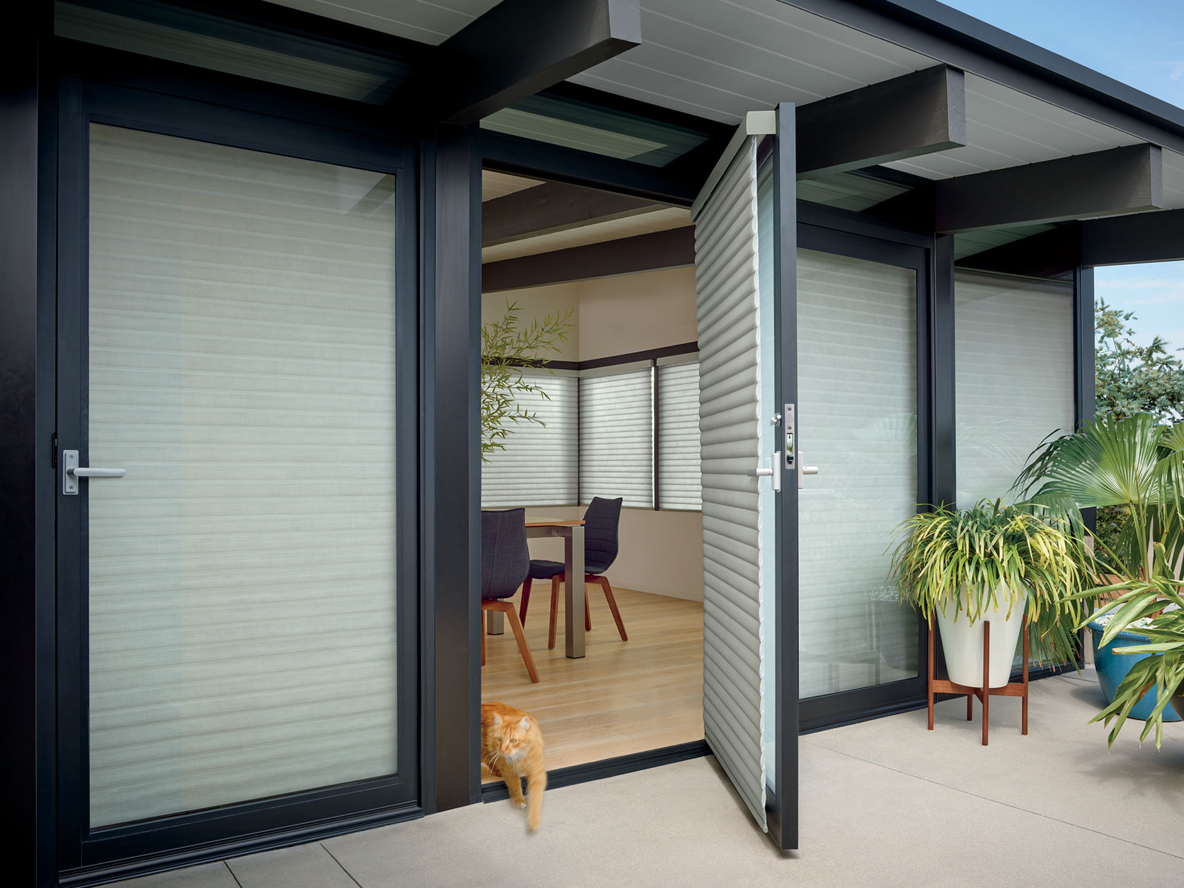 2018_Sonnette_PV_Elan_Exterior Cat