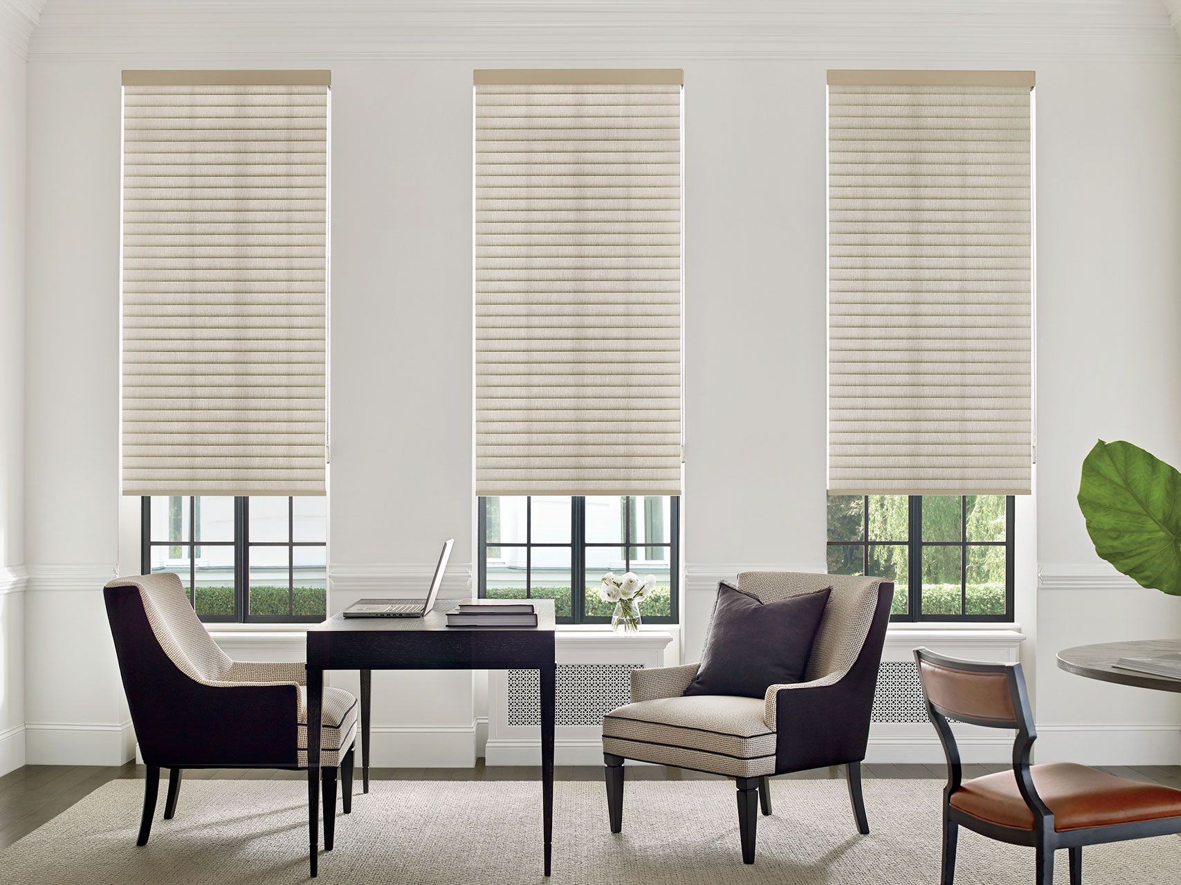2020_SON_CC Cassette_Ainsley_Office_No Drapes