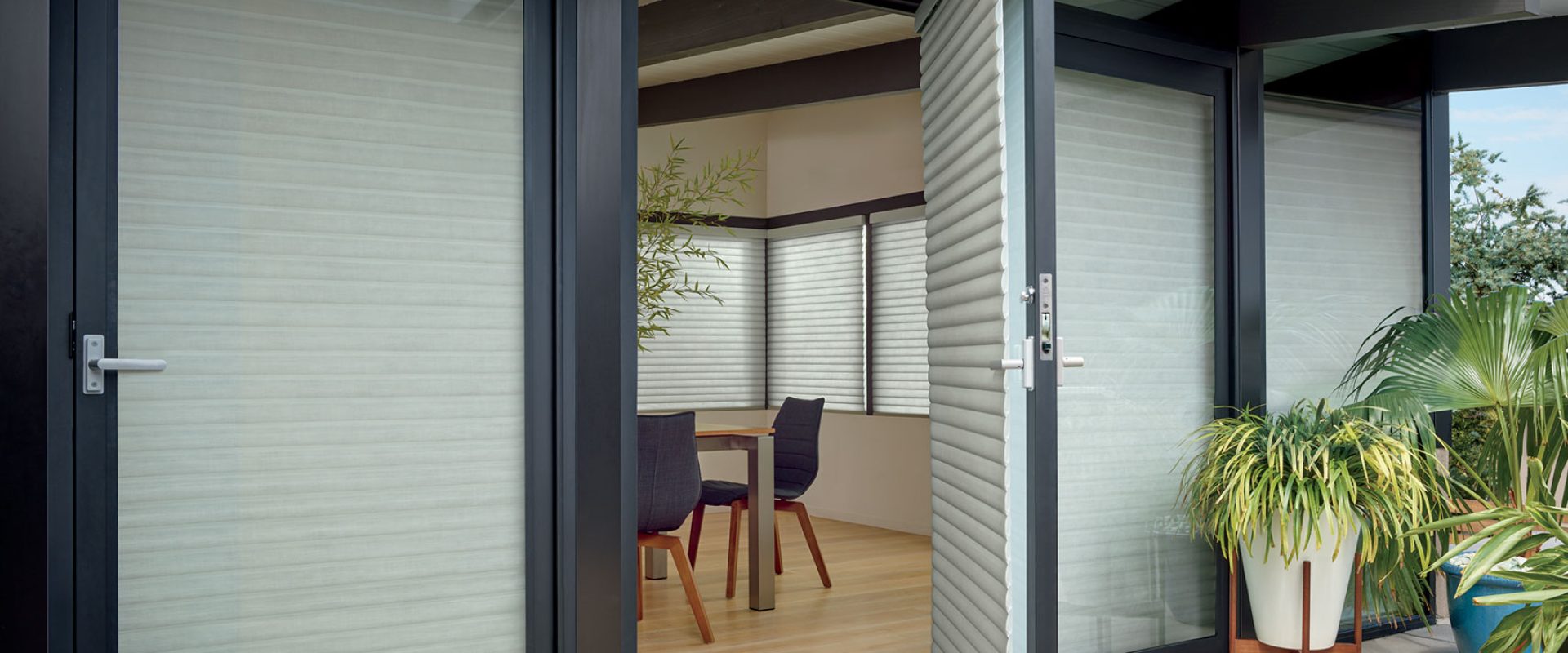 2018_Sonnette_PV_Elan_Exterior Cat