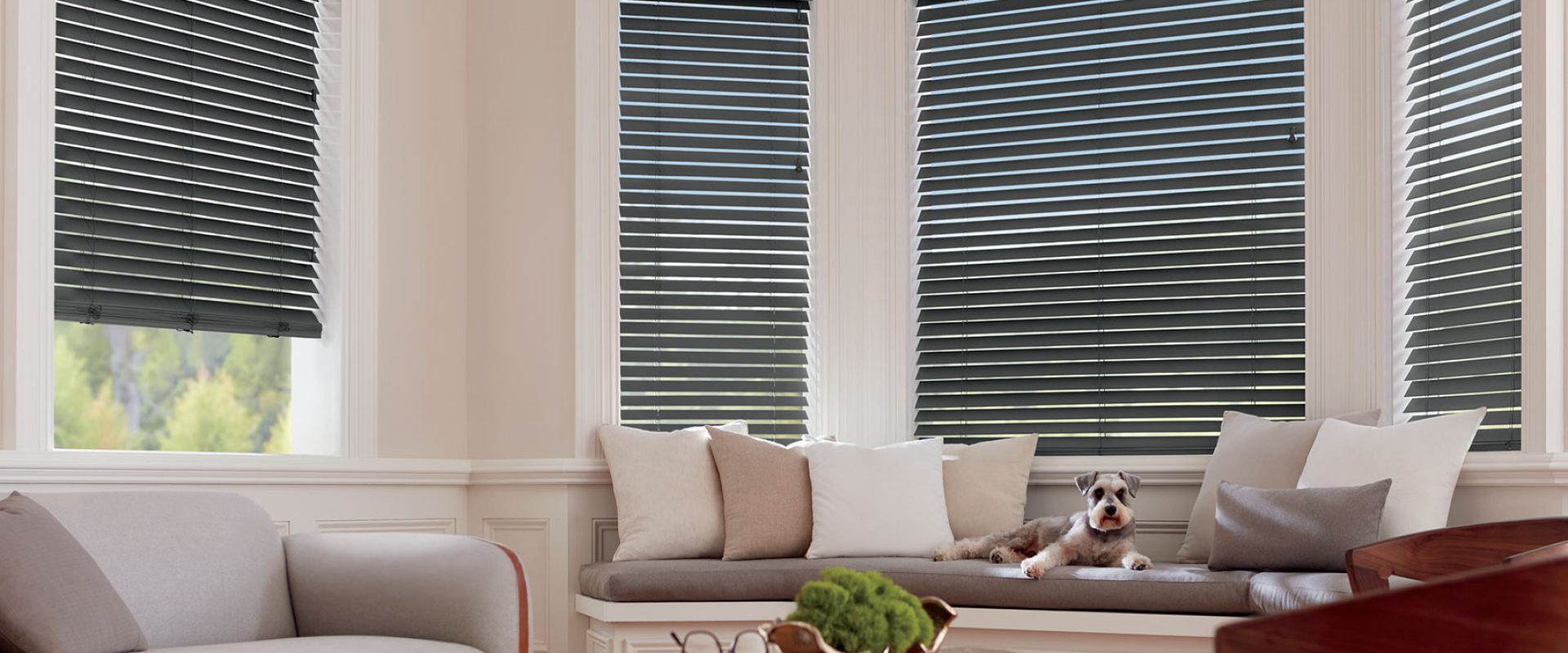 2020_PK_PV_Matte_Living Room Dog